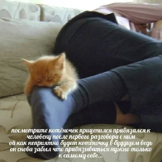 Sticker цыганка Dі - 11