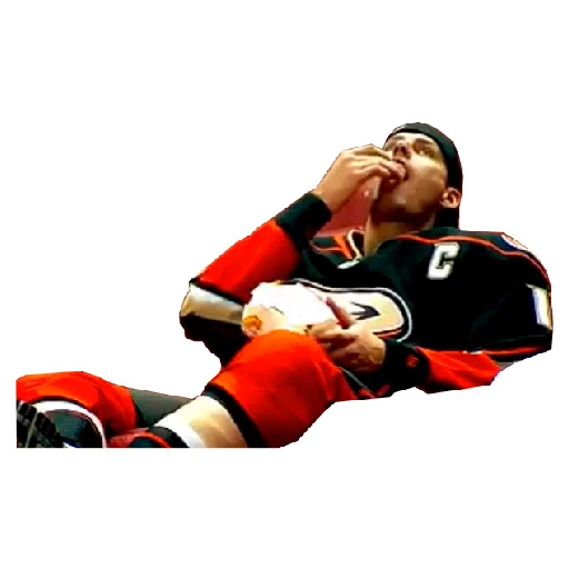 Sticker AnaheimDucks - 1