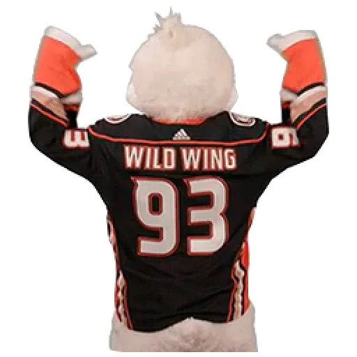 Sticker AnaheimDucks - 1