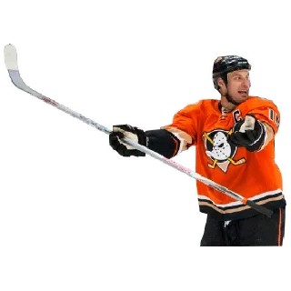 Sticker Anaheim Ducks - 10