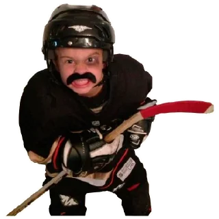 Sticker Anaheim Ducks - 2