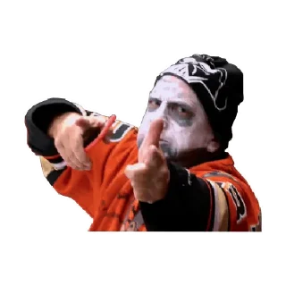 Sticker Anaheim Ducks - 11