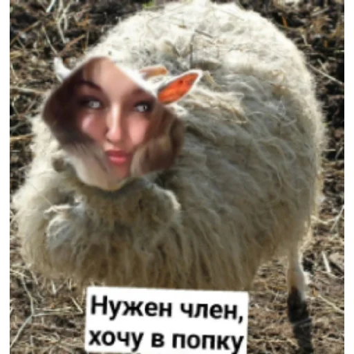 аналхистка шлюха - 