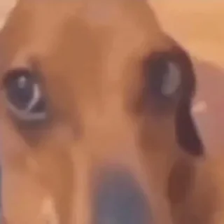 Sticker Есть 7 рублей? - 3