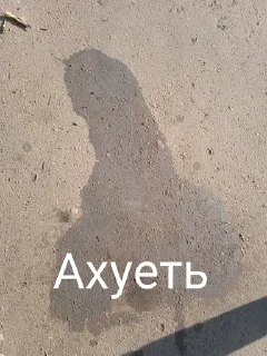 Sticker Есть 7 рублей? - 10