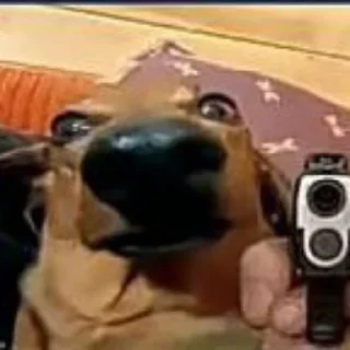 Sticker Есть 7 рублей? - 8