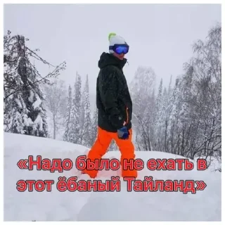 Sticker Ананасик - 4