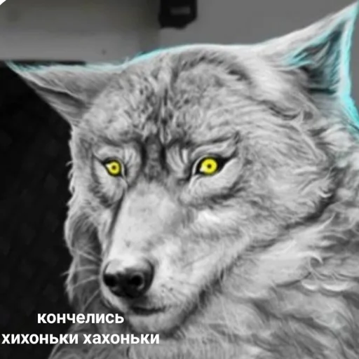 животное млекопитающее волк