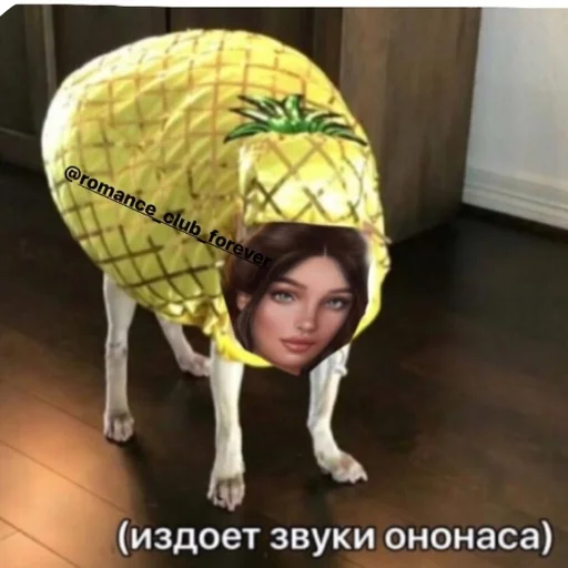 человеческое лицо шляпа девочка