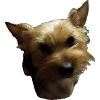 Sticker Anastasia - 8