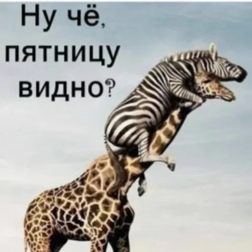 Sticker AnchutkaS - 1