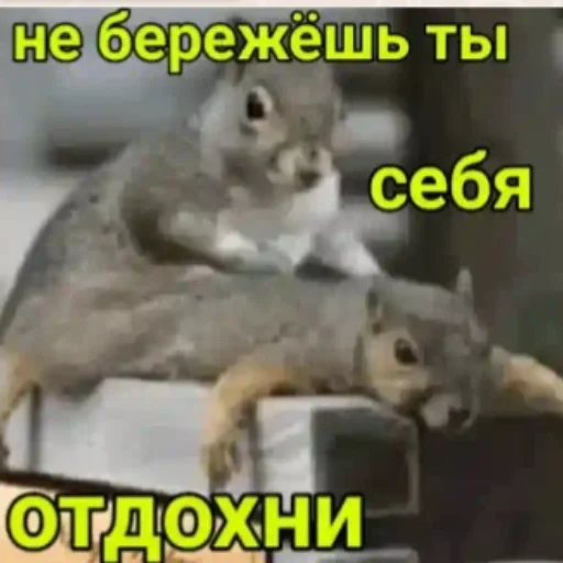 Стикер AnchutkaS - 1