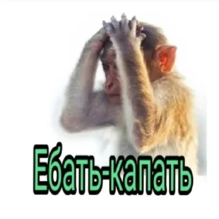 Sticker Anchutka24 - 4