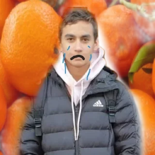 Sticker Новая жизнь - 2