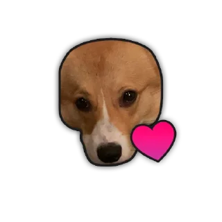 Sticker ANDYFY by @WHTWALL - 4