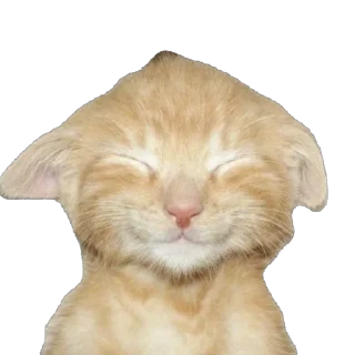 Sticker angel by @id78200 - 5