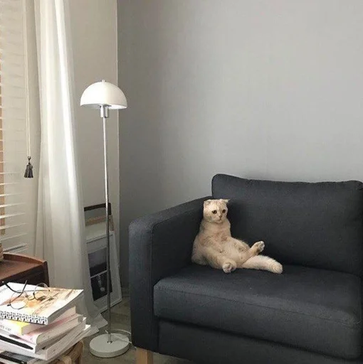 Котеки by @fStikBot - 