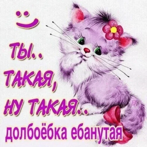 text cat small to medium-sized cats