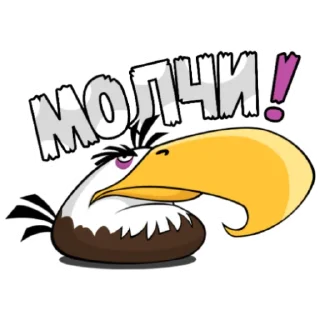 Sticker Angry Birds in Russia - 10