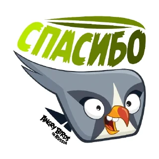 Sticker Angry Pack @angrybirdsinrussia - 6