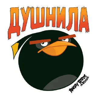 Sticker Angry Pack @angrybirdsinrussia - 3