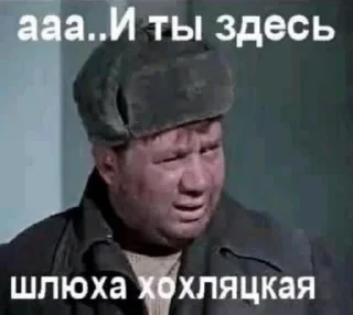 Sticker Картинки 🅉лого 🅚🅞🅣а - ④ - 1