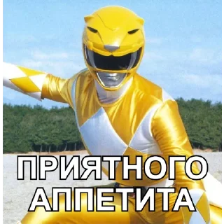 Sticker БЕСПОЩАДНЫЕ РЕЙДЖЕРЫ / SFRNV TEAM - 9