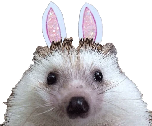 Стикер HH - 11