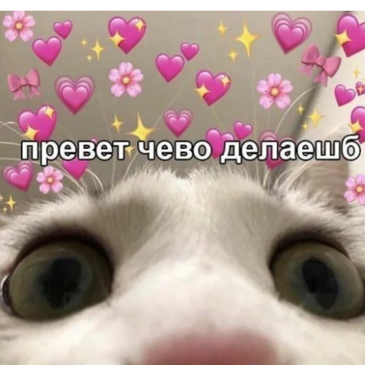 Sticker 💗💗😏 - 6