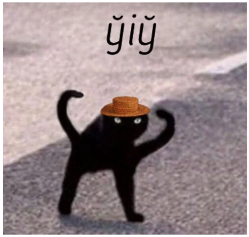 text small to medium-sized cats domestic cat