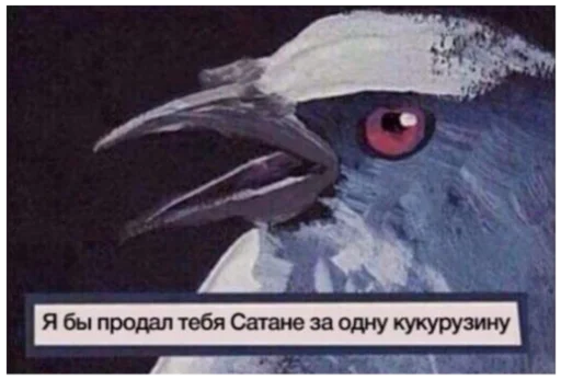 СМС животное птица