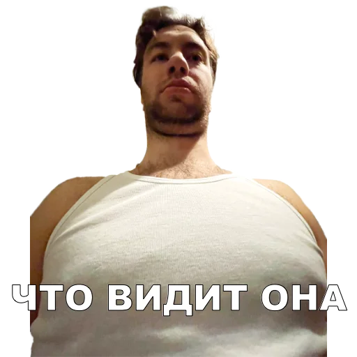 приватка алкопалатка - 