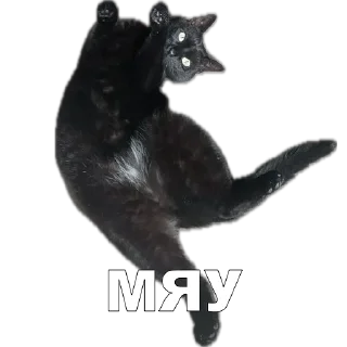 Sticker приватка алкопалатка - 5