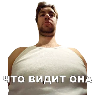 Sticker приватка алкопалатка - 3