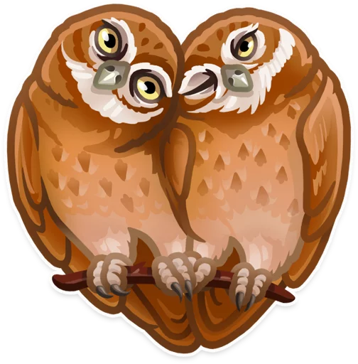 сова животное хищная птица