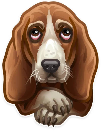 порода собак млекопитающее животное