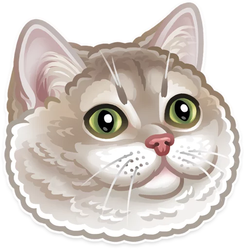 small to medium-sized cats felidae whiskers