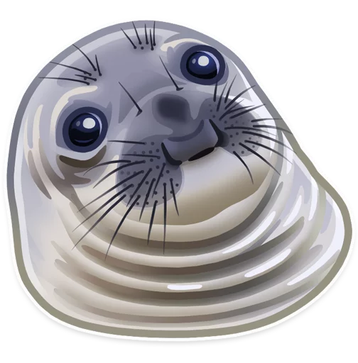 animal mammal marine mammal