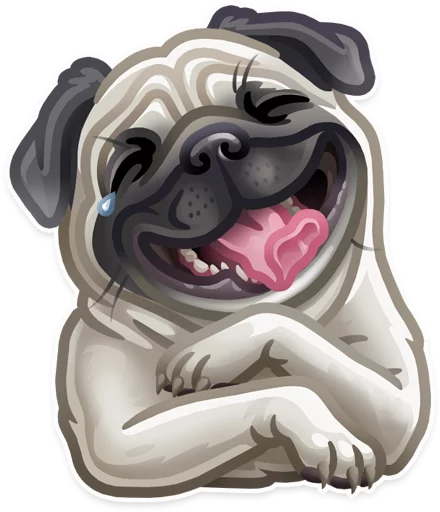 snout mammal dog breed