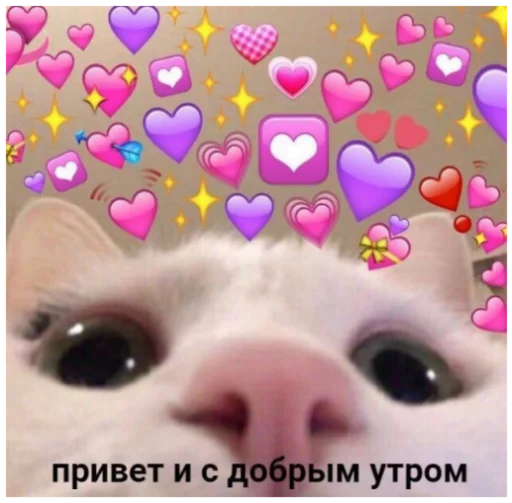 животное собака млекопитающее