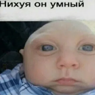 Sticker Залупа - 6