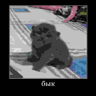 Sticker Залупа - 7