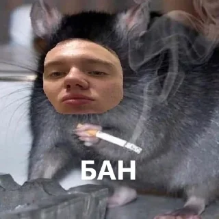 Стикер Лучшая команда - 6