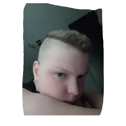 Sticker Animals_23lox - 1