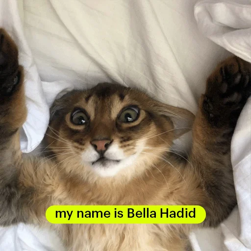 GA_stickers @goldapple - 