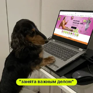 Sticker GA_stickers @goldapple - 0