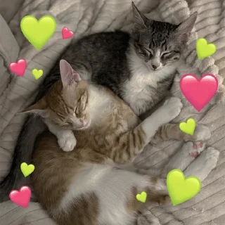 Sticker GA_stickers @goldapple - 6