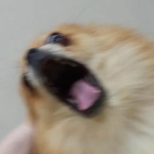 Бешенная Тучка - 