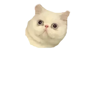 Sticker Стикеры для общения со мной - 3