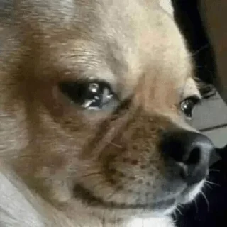 Sticker Стикеры для общения со мной - 8